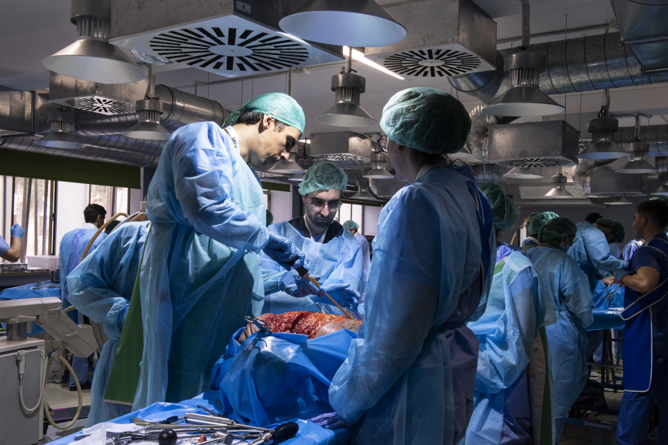 GRAN NIVEL EN UN CURSO YA CLÁSICO DEL GEER: IV CURSO BÁSICO DE INSTRUMENTACIÓN VERTEBRAL EN CADÁVER