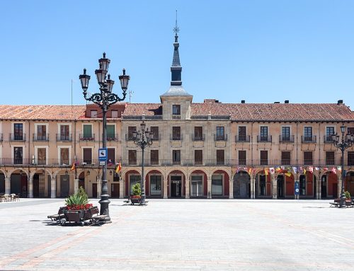 TAMBIÉN EN LEÓN: NUEVA EDICIÓN DEL CURSO BÁSICO GEER DE INSTRUMENTACIÓN VERTEBRAL EN CADÁVER
